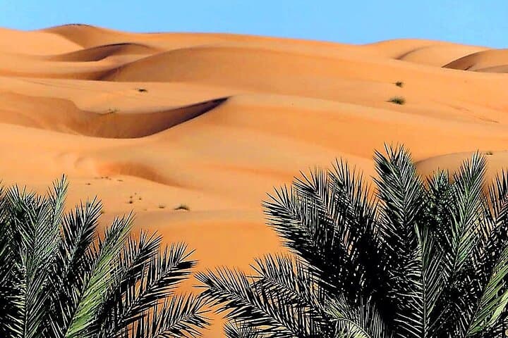 2-Day Wahiba Sands Desert Camping Tour from Muscat — Wadi Shab, Bedouin Camp & Camel Ride photo 6