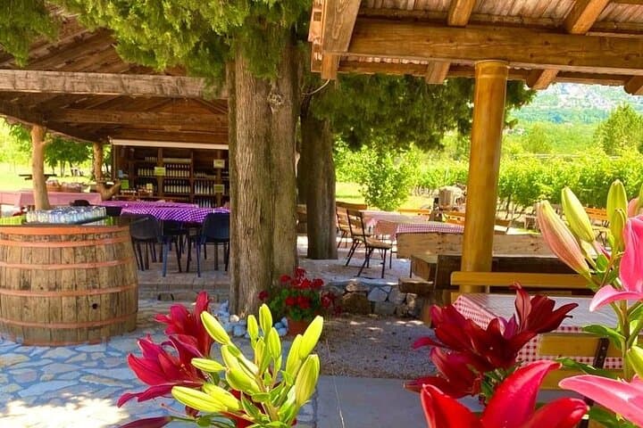 Konavle Valley Half-Day Wine & Food Tasting from Dubrovnik photo 3