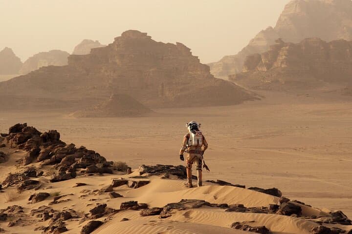 Wadi Rum Full-Moon Trekking Experience: 6 Days of Desert Nights and Red Sand photo 5