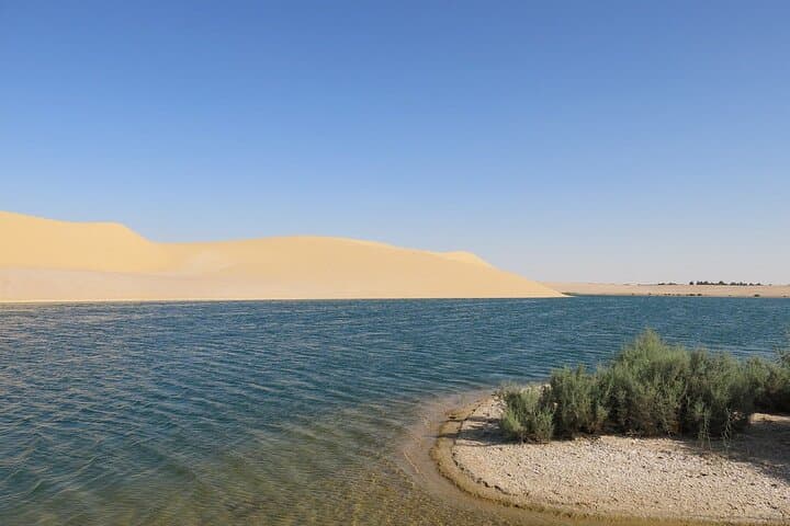Fayoum Day Trip: Valley of the Whales, Magic Lake & Sandboarding photo 2