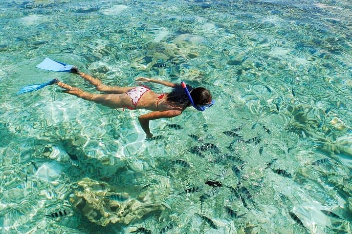 Ste Anne Glass-Bottom Boat: Full-Day Snorkel & Creole Lunch from Victoria