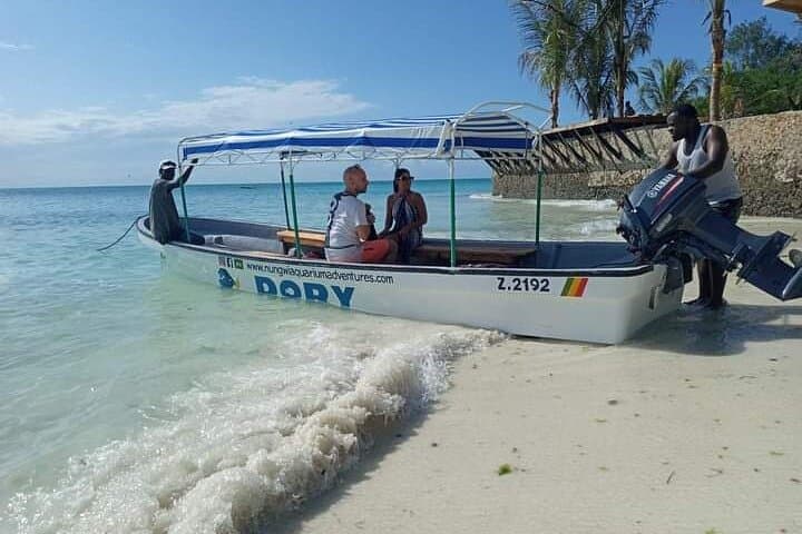 Mnemba Atoll Snorkel: Swim with Dolphins & Sea Turtles from Zanzibar photo 2