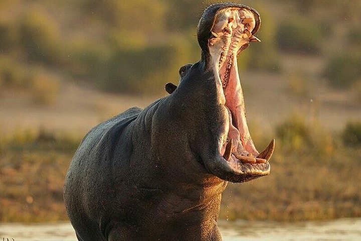 6-Day Private Safari: Tarangire, Serengeti & Ngorongoro Crater photo 3