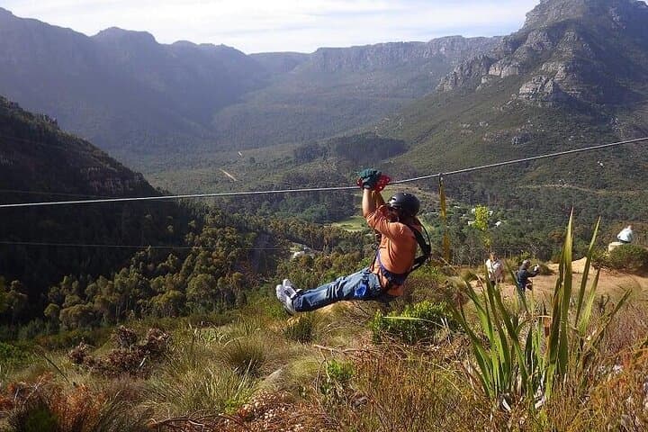 Cape Town Ziplining, Constantia Wine Tasting & Table Mountain Private Tour