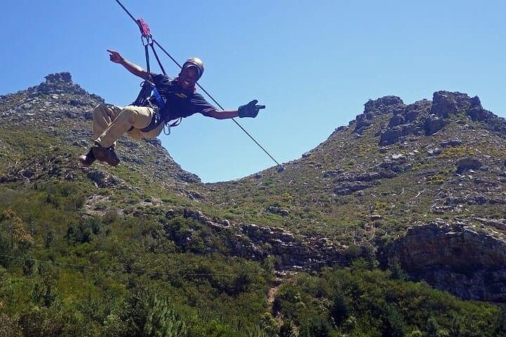 Cape Town Zipline, Penguins & Cape of Good Hope Private Tour with Chapman's Peak