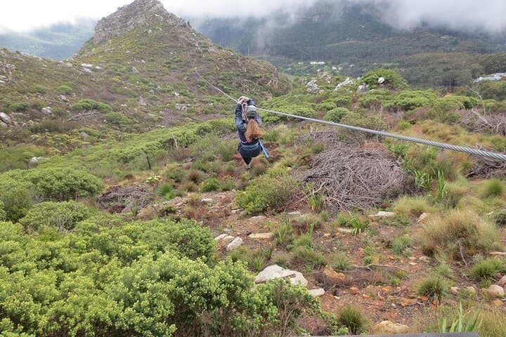 Cape Town Ziplining, Constantia Wine Tasting & Table Mountain Private Tour photo 6