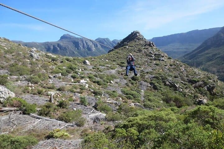 Cape Town Zipline, Penguins & Cape of Good Hope Private Tour with Chapman's Peak photo 6