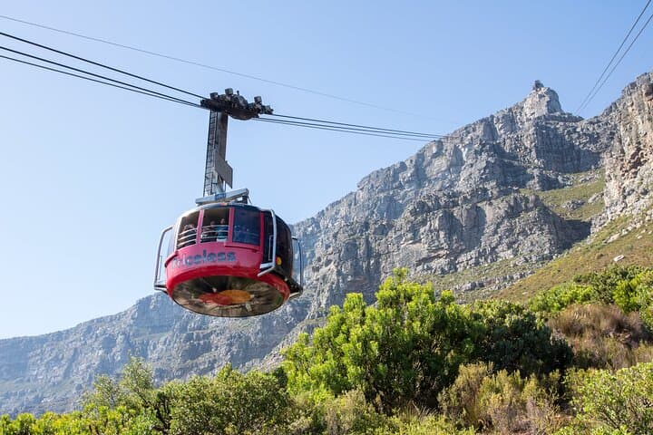 Cape Town Ziplining, Constantia Wine Tasting & Table Mountain Private Tour photo 2