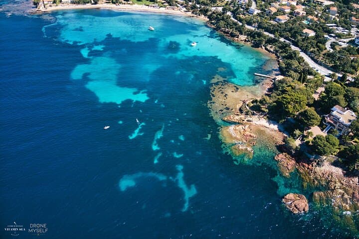 Snorkeling Cap Dramont & Île d'Or — 90-Min Boat Trip from Saint-Raphaël photo 2