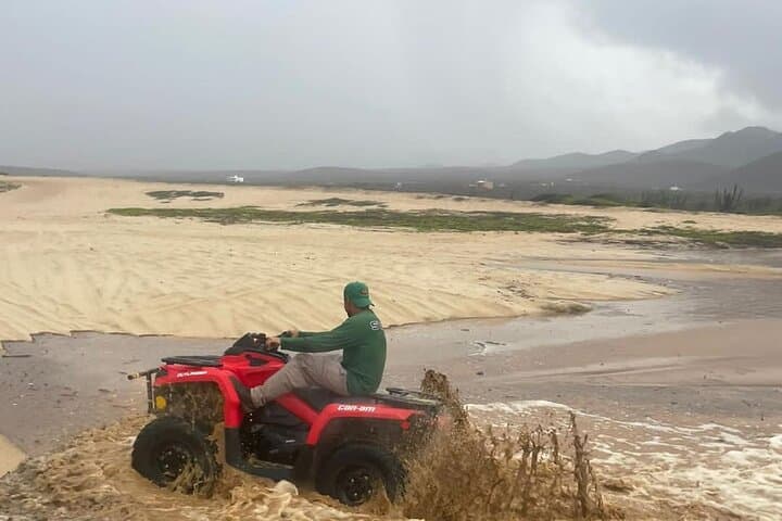 Cabo Beach & Dunes ATV Adventure — Off‑Road Desert Rides and Whale‑Watching Views photo 6