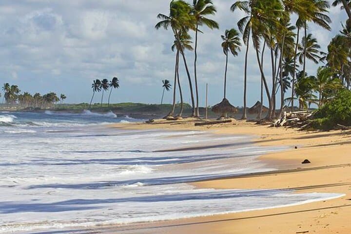 Extreme Buggy Safari in Punta Cana: Macao Beach, Cave Swim & Farm Tour photo 6