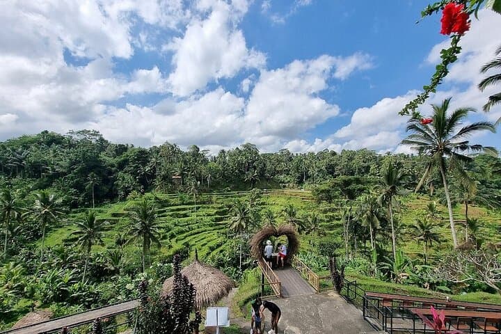 Ubud Jungle Swing & Highlights: Private Day Tour of Waterfalls, Temples and Rice Terraces photo 2