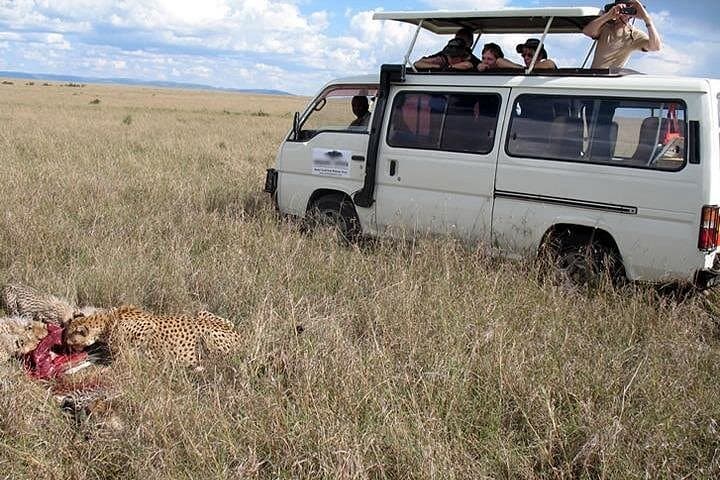 2-Day Tsavo East Safari from Diani Beach — Game Drives & Ashnil Aruba Camp