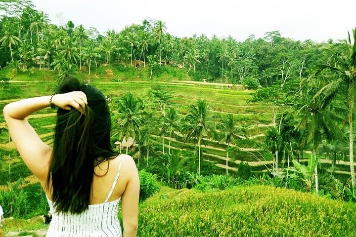 Ubud Jungle Swing & Highlights: Private Day Tour of Waterfalls, Temples and Rice Terraces photo 4