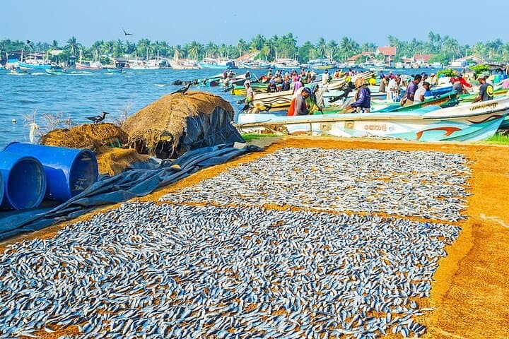 Negombo City Tour from Kalutara — Private Day Trip with Lunch photo 3
