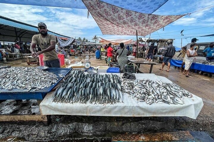 Negombo City Tour from Kalutara — Private Day Trip with Lunch photo 4