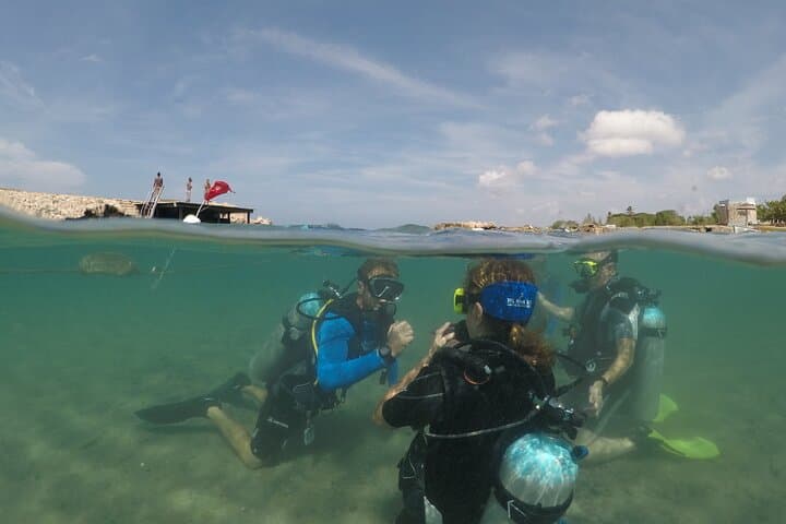 Try Scuba in Curaçao: PADI Discover Scuba Dive at the Dive Bus Reef