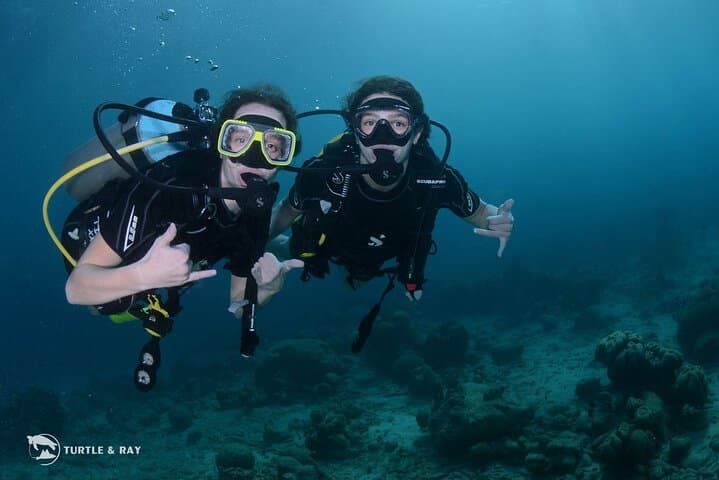 Try Scuba in Curaçao: PADI Discover Scuba Dive at the Dive Bus Reef photo 2
