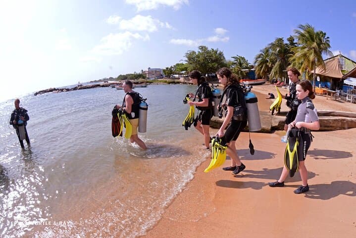 Try Scuba in Curaçao: PADI Discover Scuba Dive at the Dive Bus Reef photo 3