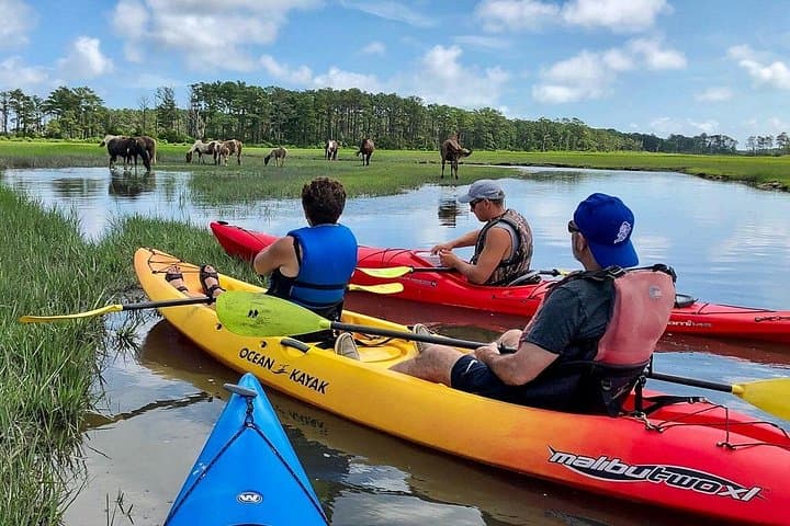 Paddle with Wild Ponies: Kayak Tour Along Assateague & Chincoteague Islands photo 4