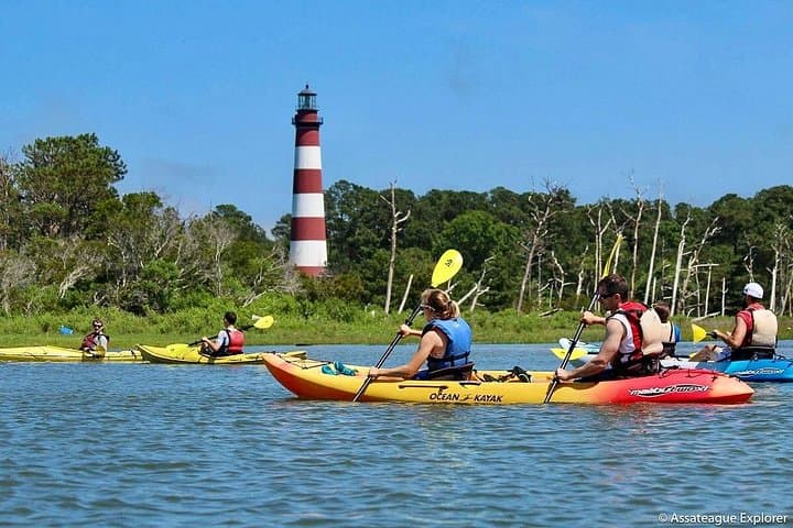 Paddle with Wild Ponies: Kayak Tour Along Assateague & Chincoteague Islands photo 6