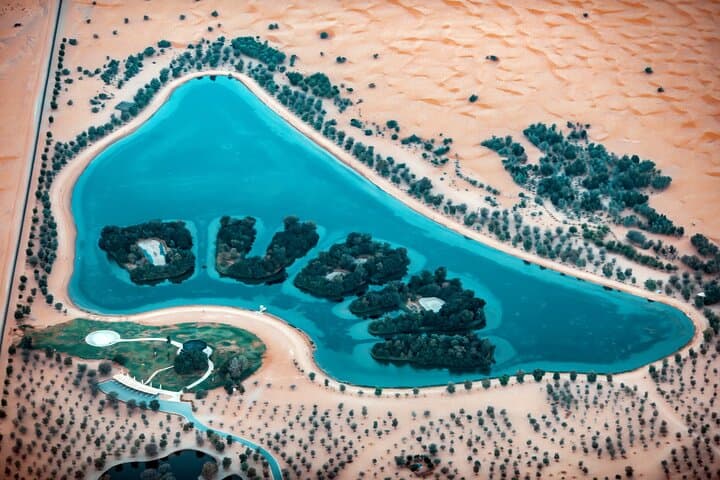 Dubai Hot Air Balloon Ride with In‑Flight Falcon Show photo 5