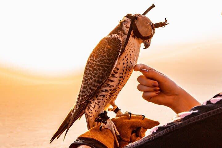Dubai Hot Air Balloon Ride with In‑Flight Falcon Show photo 3