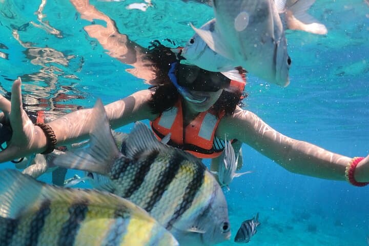 Clear-Boat Snorkel: Private Transparent Boat Tour in Cozumel’s Reef photo 2