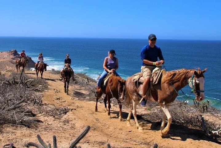 Pacific Coast Horseback Riding from Cabo: Beach and Desert Tour photo 3