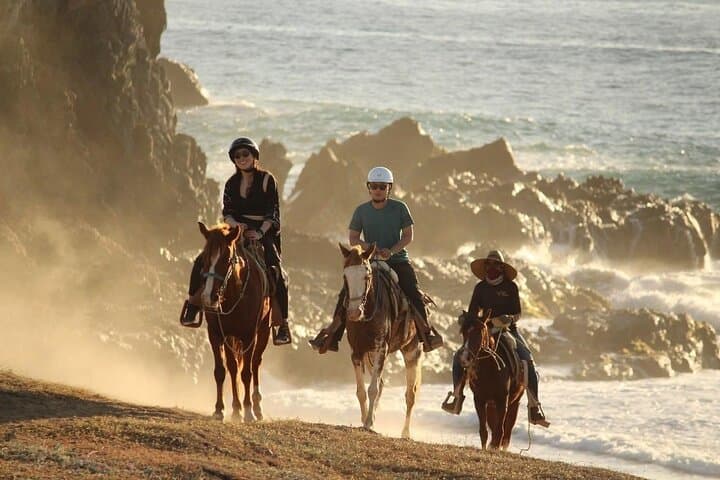 Pacific Coast Horseback Riding from Cabo: Beach and Desert Tour