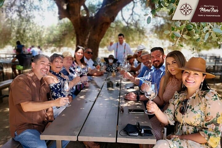Valle de Guadalupe Wine and Brewery Tours — Private Full-Day Tasting from Tijuana