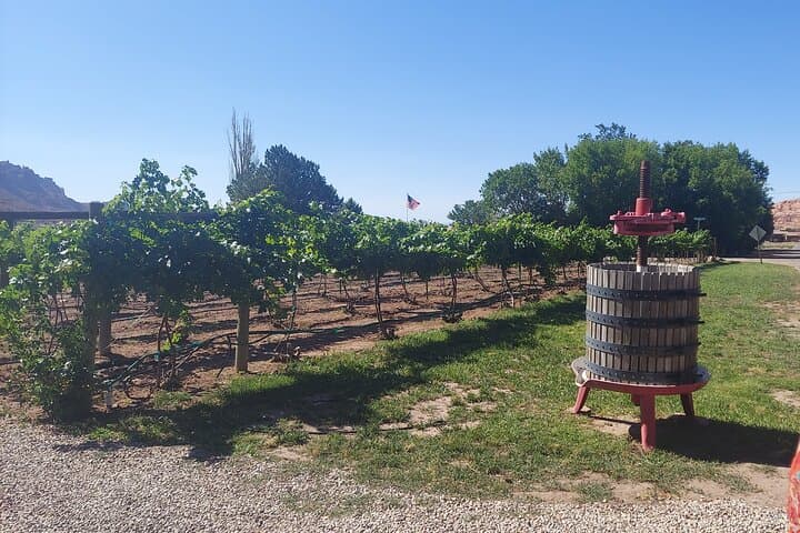 Moab Back Roads Winery E‑Bike Tour: Petroglyphs, Spanish Spring & Tasting photo 2