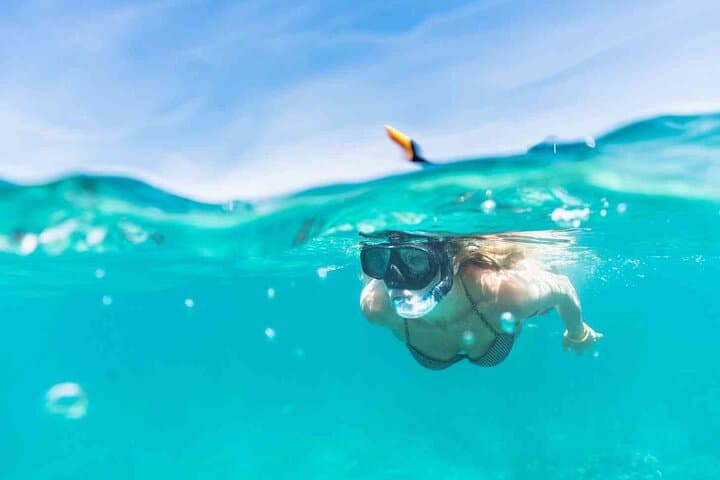 Oahu Snorkeling Cruise Off Waikiki — Turtles, Reefs & Top-Deck Jumps photo 4