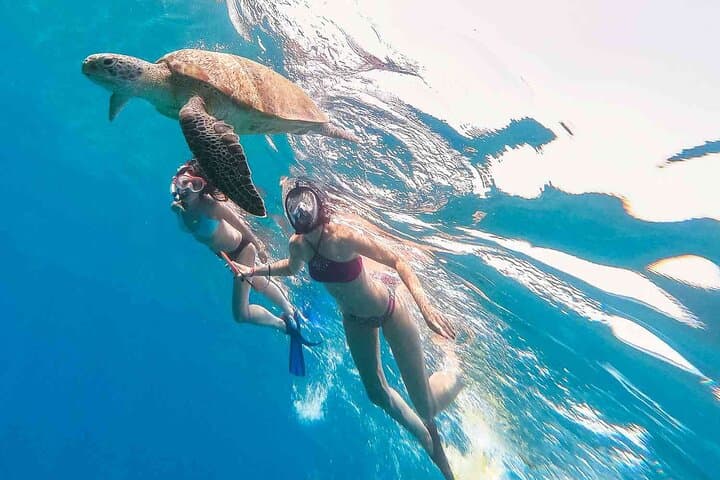 Oahu Snorkeling Cruise Off Waikiki — Turtles, Reefs & Top-Deck Jumps photo 3