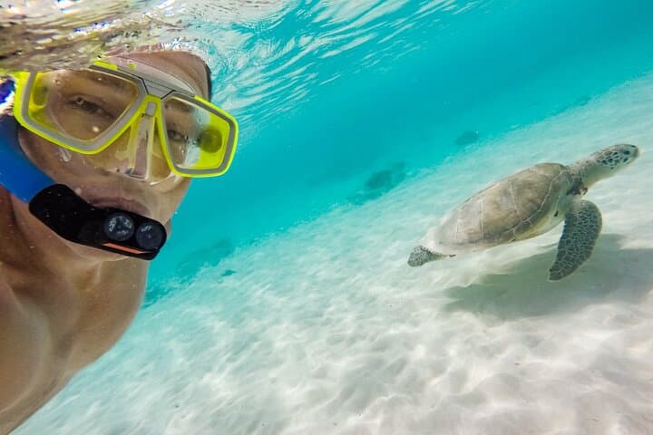 Oahu Snorkeling Cruise Off Waikiki — Turtles, Reefs & Top-Deck Jumps photo 5