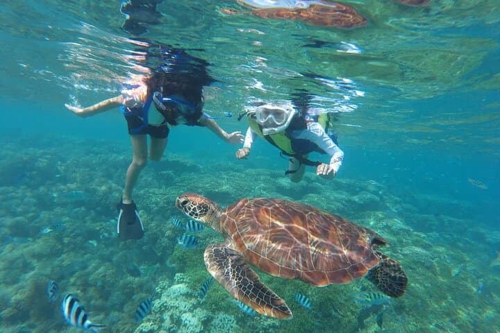 Oahu Snorkeling Cruise Off Waikiki — Turtles, Reefs & Top-Deck Jumps photo 2