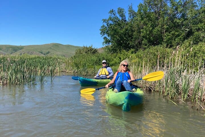 Madison River Guided Kayak Tour from Bozeman — Easy Class I Paddle with Wildlife Viewing photo 6