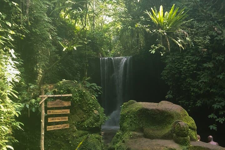 Half-Day East Ubud Waterfall Tour: Tibumana, Taman Sari & Suwat photo 1