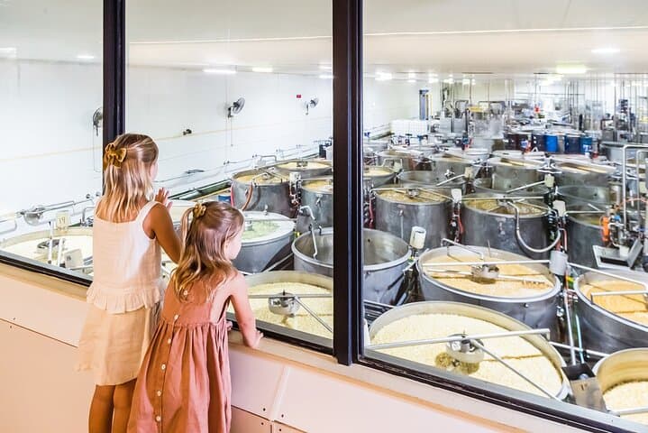 Ginger Factory Play, Taste & Discover — Yandina Family Experience photo 6
