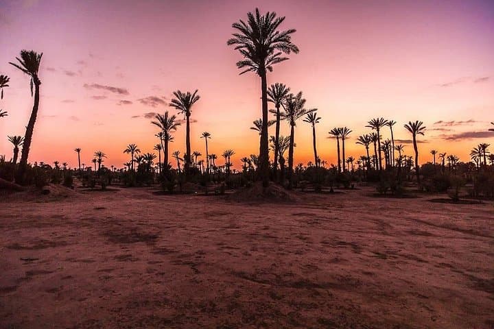 Quad Ride in the Palm Grove outside Marrakech — Palmeraie Quad Biking Adventure photo 4