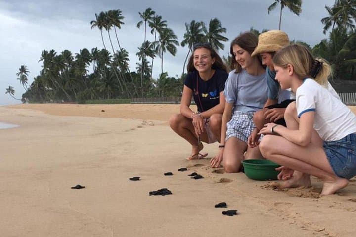 10-Day Sri Lanka Escape: Culture, Wildlife & Scenic Train Journeys photo 3