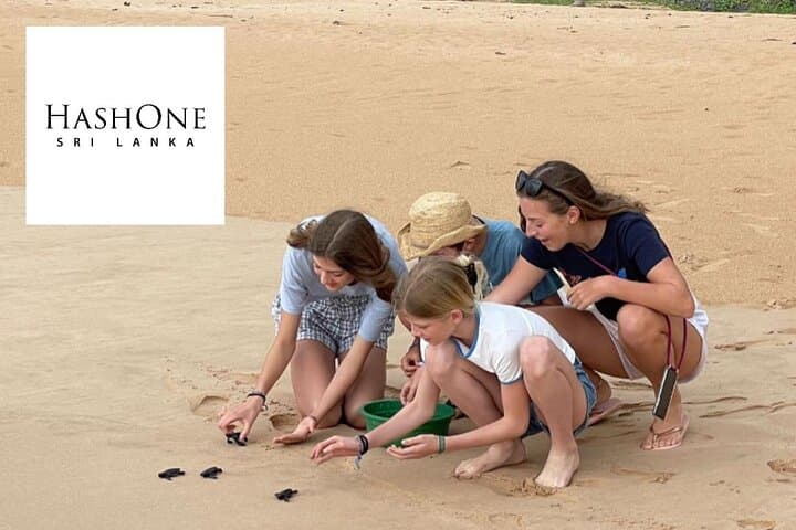 10-Day Sri Lanka Escape: Culture, Wildlife & Scenic Train Journeys photo 4