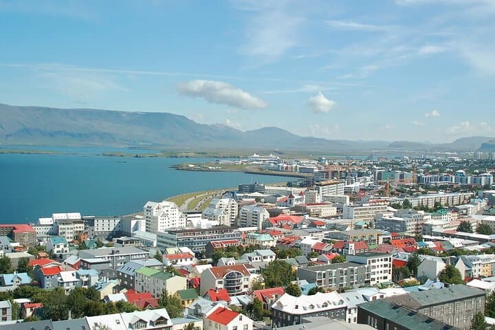 Helicopter Tour to Hengill Geothermal Area with On‑Site Landing — Reykjavik photo 5