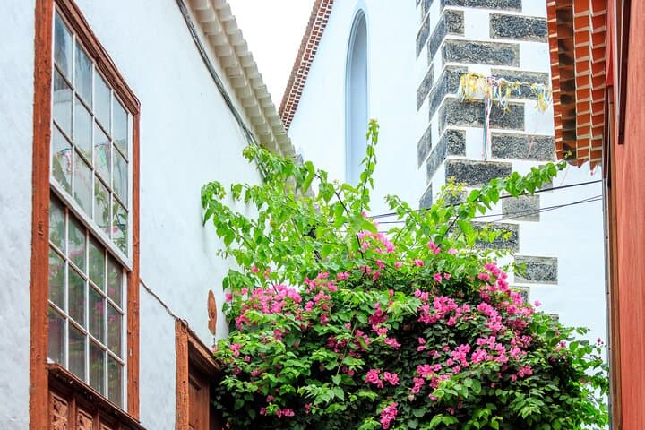 North West Tenerife Secrets: Masca, Teno Park & Icod Day Tour photo 3