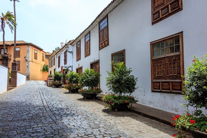 North West Tenerife Secrets: Masca, Teno Park & Icod Day Tour photo 4