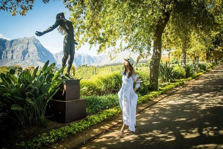 Cape Peninsula Helicopter Tour & Stellenbosch Wine Tasting with Lunch photo 6
