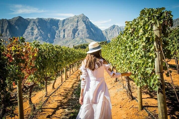Cape Peninsula Helicopter Tour & Stellenbosch Wine Tasting with Lunch photo 5