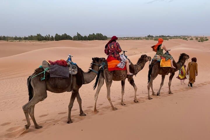 3-Day Sahara Expedition from Marrakech — Atlas Passes, Kasbahs & Luxury Glamping photo 4