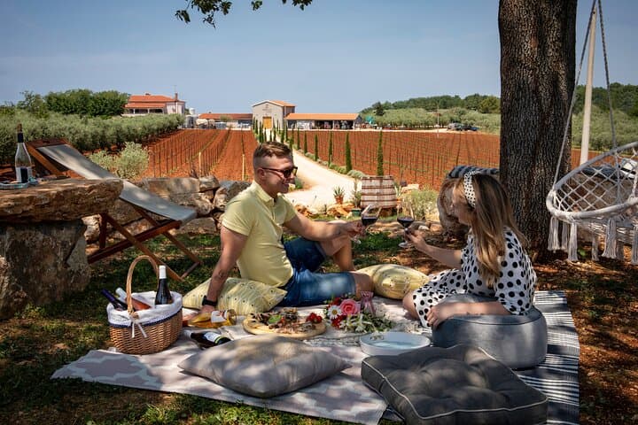 Pervino Wine Picnic: Private Oak-Tree Picnic in Istria's Vineyards