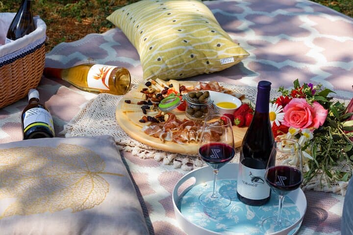 Pervino Wine Picnic: Private Oak-Tree Picnic in Istria's Vineyards photo 2